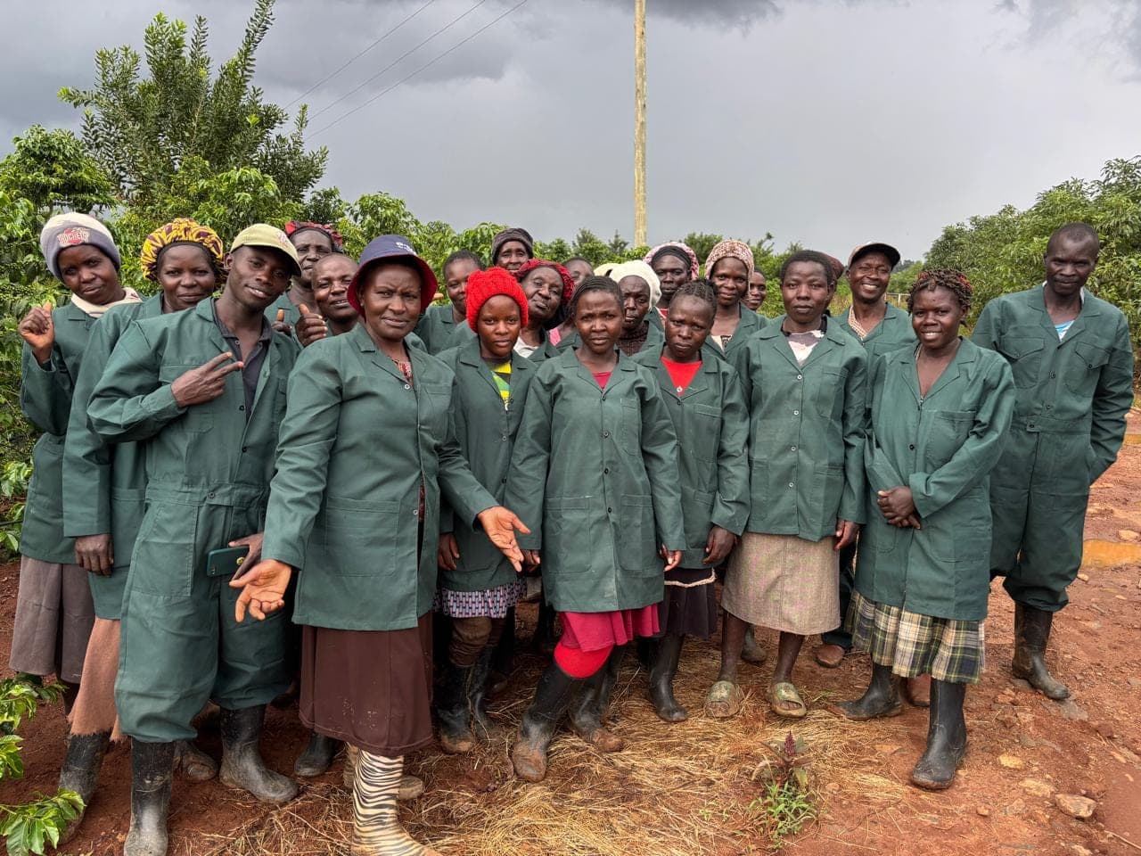 The Ruguru Orchards team in green work coats standing together on red soil beside the coffee